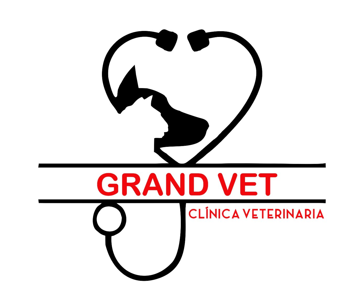 GRAND VET 1